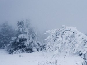 Nadciąga mroźna zima. Temperatura do -20 st. C. i śnieg w całej Polsce