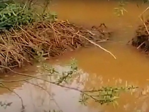 [Zwiastun] Magazyn Śledczy: Pomarańczowa zawiesina w rzece. Kto doprowadza do zanieczyszczania?