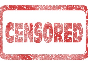 Wyrażamy pełną solidarność z cenzurowanym w mediach społecznościowych Salonem24