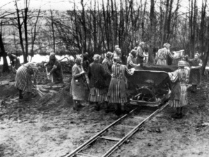 Dziś rocznica wyzwolenia kobiecego obozu koncentracyjnego Ravensbrück. Zapraszamy do wzięcia udziału w uroczystościach
