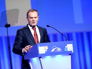 Tusk wróci do polskiej polityki? „Prowadzi szeroko zakrojone rozmowy”