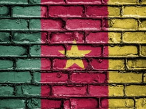 Uwolniono księdza uprowadzonego w Kamerunie
