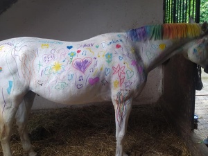 Firma oferująca jazdę konną pozwoliła dzieciom pomalować konia. Oburzenie w sieci