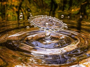 Watykan apeluje: Dostęp do wody pitnej to podstawowe prawo człowieka