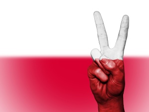 „De Telegraaf”: Europejscy politycy nie powinni uczyć Polaków na temat wolności