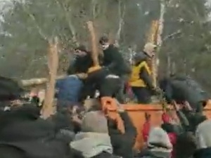 „Dostawa drewna dla migrantów”. Szokujące nagranie z polsko-białoruskiej granicy [WIDEO]