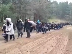Ogromna fala migrantów z Białorusi zbliża się do Polski. W sieci pojawiły się nagrania [VIDEO]