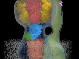 Naukowy wieczór z dr. Kaweckim: Zobacz genialną wizualizację silnika komórki! [WIDEO]