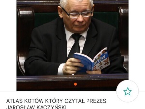 "Atlas kotów" czytany przez Jarosława Kaczyńskiego wystawiony na Allegro w astronomicznej cenie