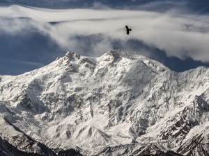 Himalaiści utknęli pod kopułą szczytową Nanga Parbat. MSZ wysyła pomoc
