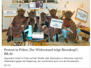 Marian Panic: Wg niemieckich mediów... "Opór (w Polsce) nosi maskę bizona"
