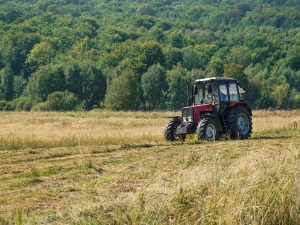 Zbigniew Kuźmiuk: Debata w PE o przyszłości rolnictwa przekształciła się w debatę o wyrównaniu dopłat