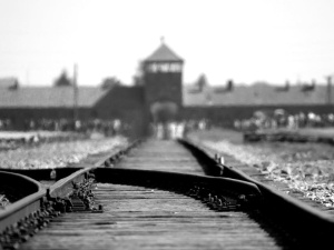 Muzeum Auschwitz apeluje do żydowskich mediów ws. "polskich obozów..." oraz broni polskiej ludności
