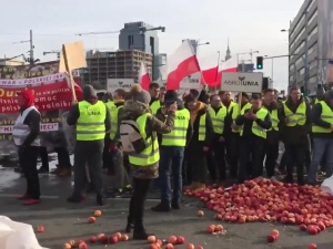 [video] Rolnicy z AGROunii protestowali w cetrum Warszawy. Na ulicach świńskie tusze