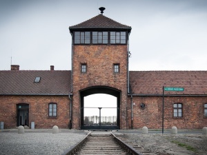 [Tylko u nas] Marek Jan Chodakiewicz: „Polskie obozy koncentracyjne” jako Rufmord