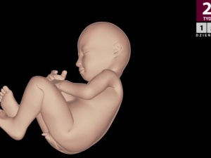 Islandia wprowadza aborcję na życzenie do połowy szóstego miesiąca ciąży