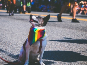 Ekspert: Wiele ruchów pseudoekologicznych wywodzi się z ideologii LGBT