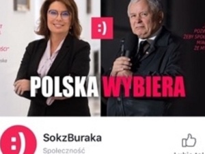 "Sieci" piszą o powiązaniu "Soku z Buraka" z PO i warszawskim ratuszem. Fala komentarzy