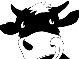 [Kliknij aby zobaczyć całość] Nowy rysunek Krysztopy: Krowa z krową!?
