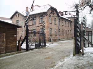 Ważna akcja "RDI" w przededniu rocznicy wyzwolenia obozu w Auschwitz. Listy do 8000 redakcji