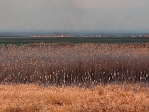 [WIDEO] Pożar w Biebrzańskim Parku Narodowym objął już 6 tys. hektarów! "Sytuacja daleka od opanowanej"