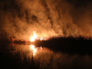 Nareszcie! Straż Pożarna: udaje nam się kontrolować obszar pożaru w Biebrzańskim Parku Narodowym