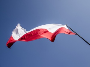 Kombatanci apelują o wszczęcie z urzędu postępowania wobec mężczyzny, który spalił polską flagę
