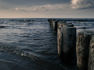Planujesz wakacje nad Bałtykiem? Niemal wszystkie plaże Trójmiasta są zamknięte