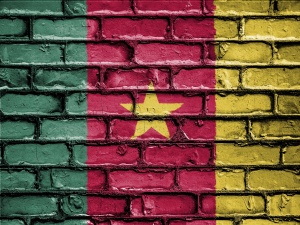 Lokalne władze w Kamerunie: Dżihadyści zaatakowali obóz przesiedleńców. Zginęło co najmniej 13 osób
