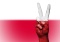 [Tylko u nas] Prof. David Engels: Polska potrzebuje soft power. Jak najszybciej