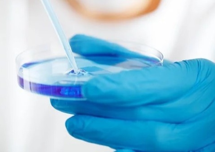 laboratorium Polscy naukowcy jako pierwsi na świecie przeprowadzą badania kliniczne nad skutecznością amantadyny