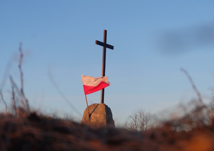 zdjęcie ilustracyjne Dziennikarz Radio Zet o Polsce: „w pewnym totalnie porąbanym kraju”