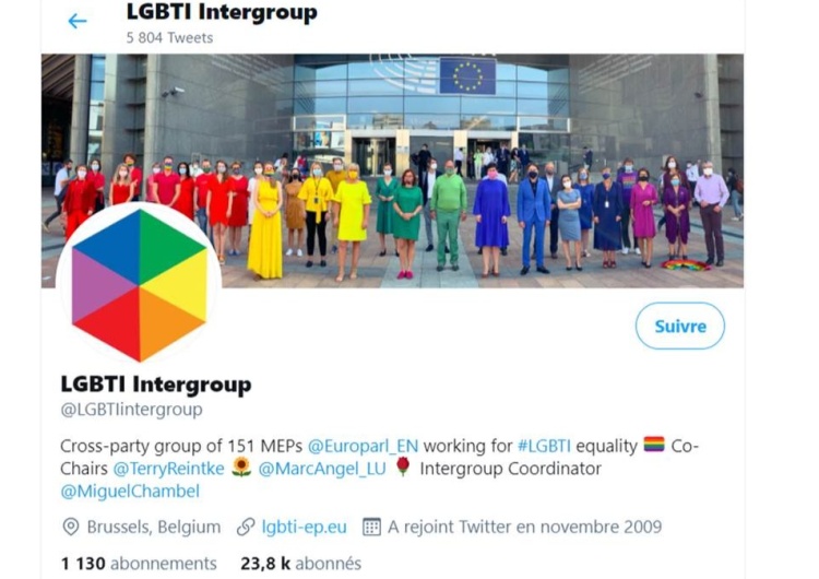 Les eurodéputés LGBT veulent censurer le représentant de la Pologne au sein du CESE