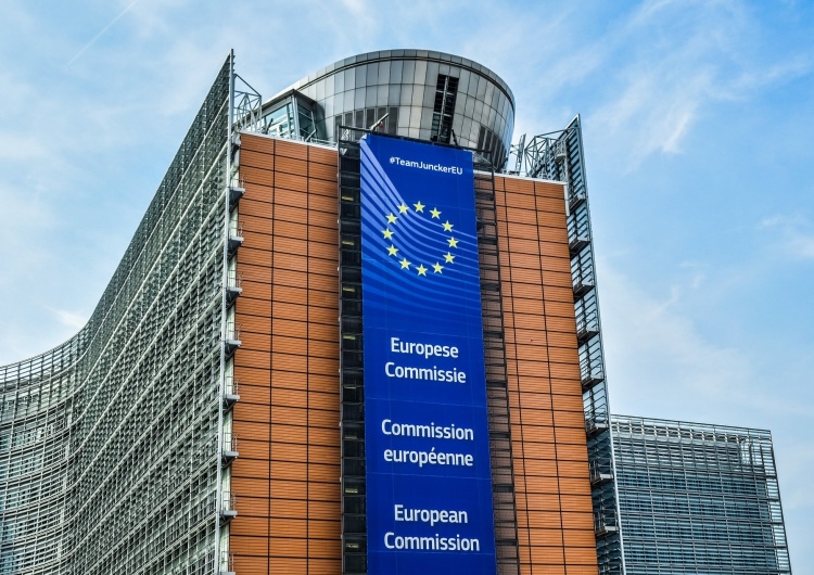 La « Conférence sur l'avenir de l'Europe »