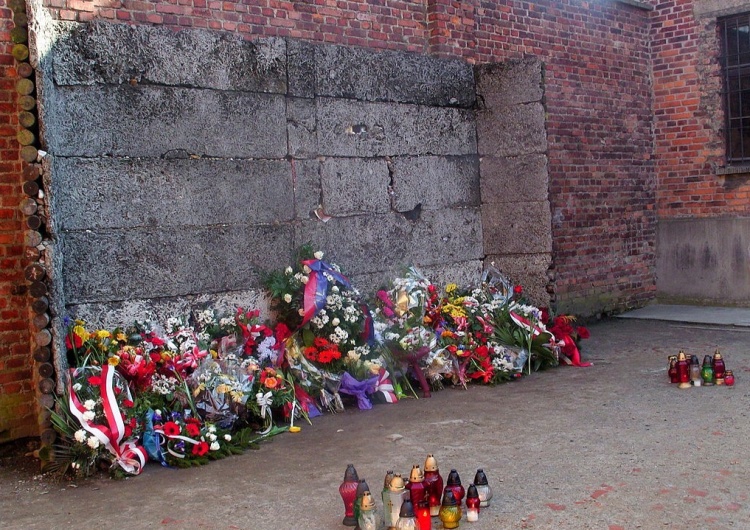 Ściana Śmierci, Auschwitz 