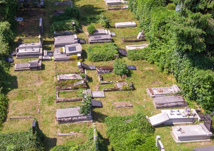 Zniszczenia na cmentarzu żydowskim w Bielsku-Białej Zdewastowany cmentarz żydowski w Bielsku-Białej. 