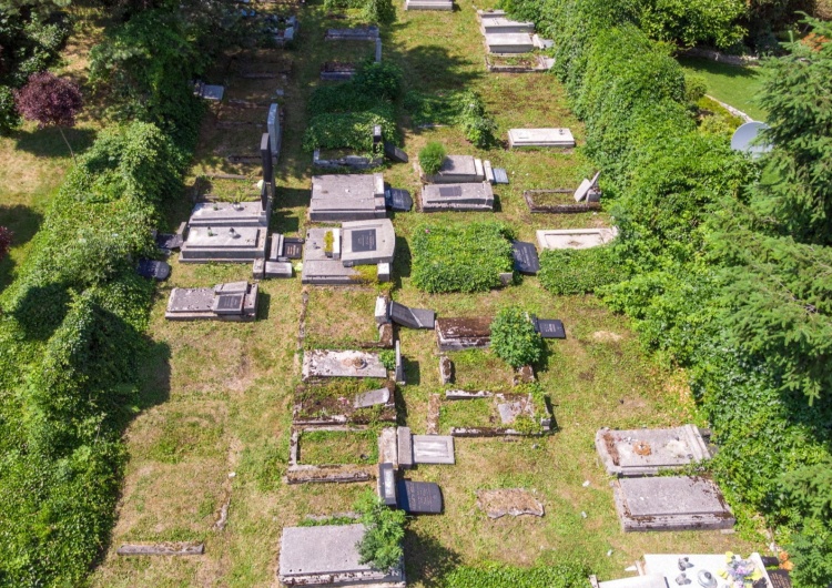 Zniszczenia na cmentarzu żydowskim w Bielsku-Białej Zdewastowano cmentarz żydowski. Wiek sprawców szokuje