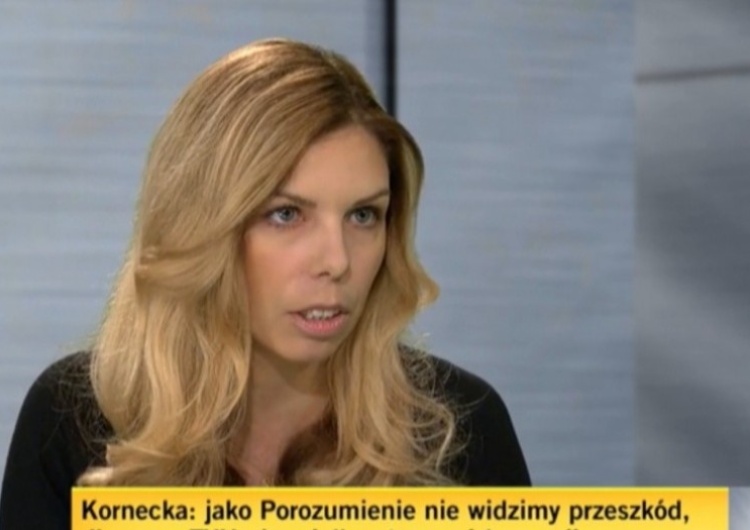 Była wiceminister rozwoju, pracy i technologii Anna Kornecka (Porozumienie) Anna Kornecka z nowym stanowiskiem