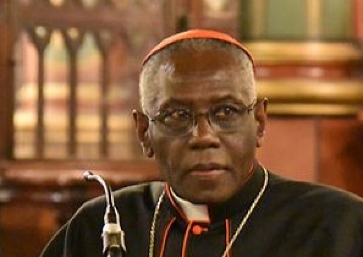 Le Cardinal Sarah à à Draguignan aborde le martyr
