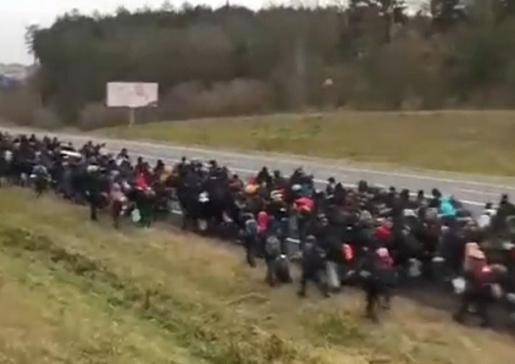  [Video] „Rozpoczęła się największa próba masowego siłowego wejścia na teren Polski”. Fala migrantów ruszyła w stronę granicy RP!