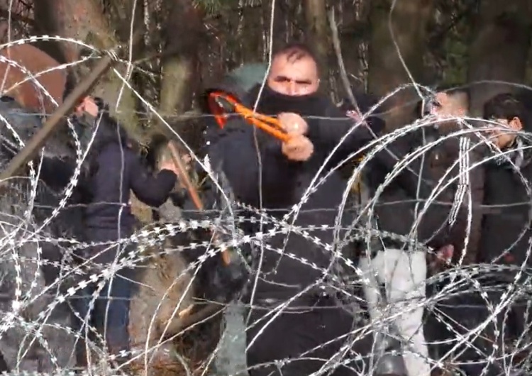  [VIDEO] Migranci przecinają ogrodzenie na granicy z Polską. Ministerstwo Obrony Narodowej publikuje nagranie