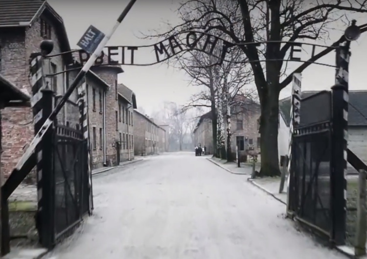  Joanna Płotnicka: Muzeum Auschwitz deklaruje dobrą wolę. Oto trzy sposoby, jak może ją okazać