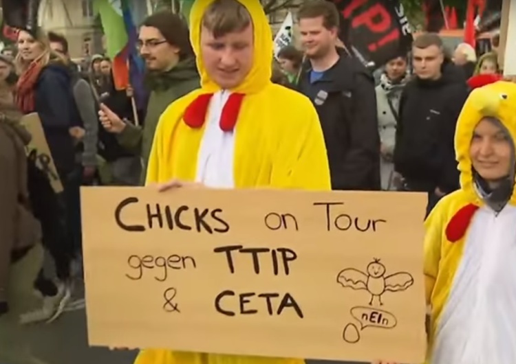 Jan Mosiński: Kijem, czyli CETĄ, w mrowisko