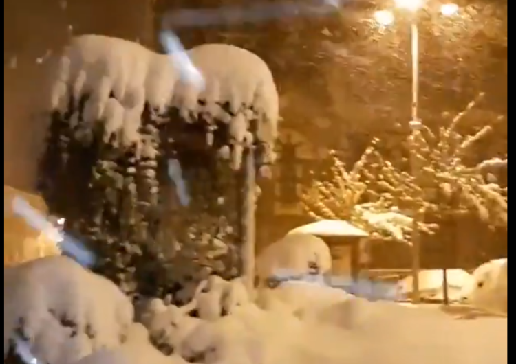  [Wideo] To niemal pogodowy kataklizm. Śnieg spowodował…