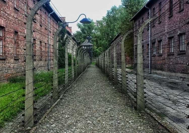 Internauci wysyłają red.Gadowskiemu świadectwa lekceważenia Polaków przez Muzeum Auchwitz