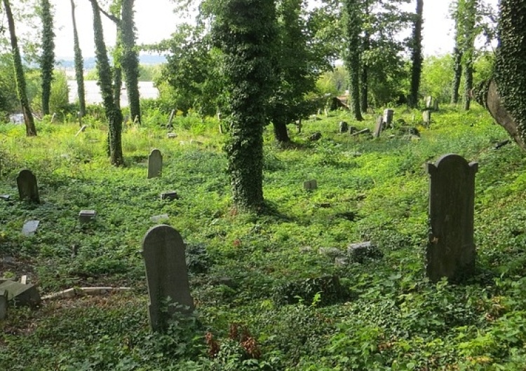 Izraelskie media publikują obrzydliwego fejka o dewastacji cmentarza żydowskiego w Świdnicy