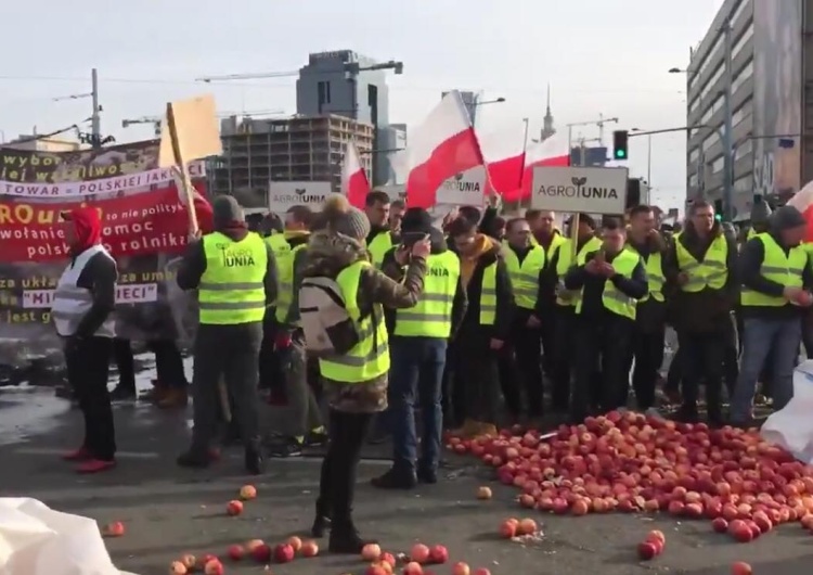  [video] Rolnicy z AGROunii protestowali w cetrum Warszawy. Na ulicach świńskie tusze