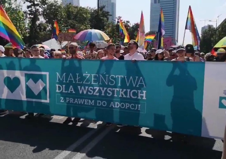  [video] Parada Równości postuluje małżeństwa i adopcje LGBT. Gmyz i Palade komentują