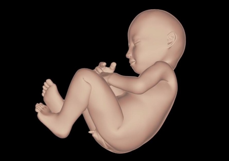 Dziennikarka GW wtargnęła na kurs pro-life w Toruniu. Próbowała zastraszać i prowokować uczestników?