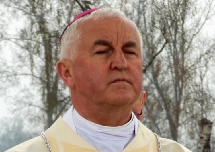 Piotr Drabik "Jedno obronione dziecko jest chwałą Boga". Biskup Jan Szkodoń w homilii na Świętych Młodzianków